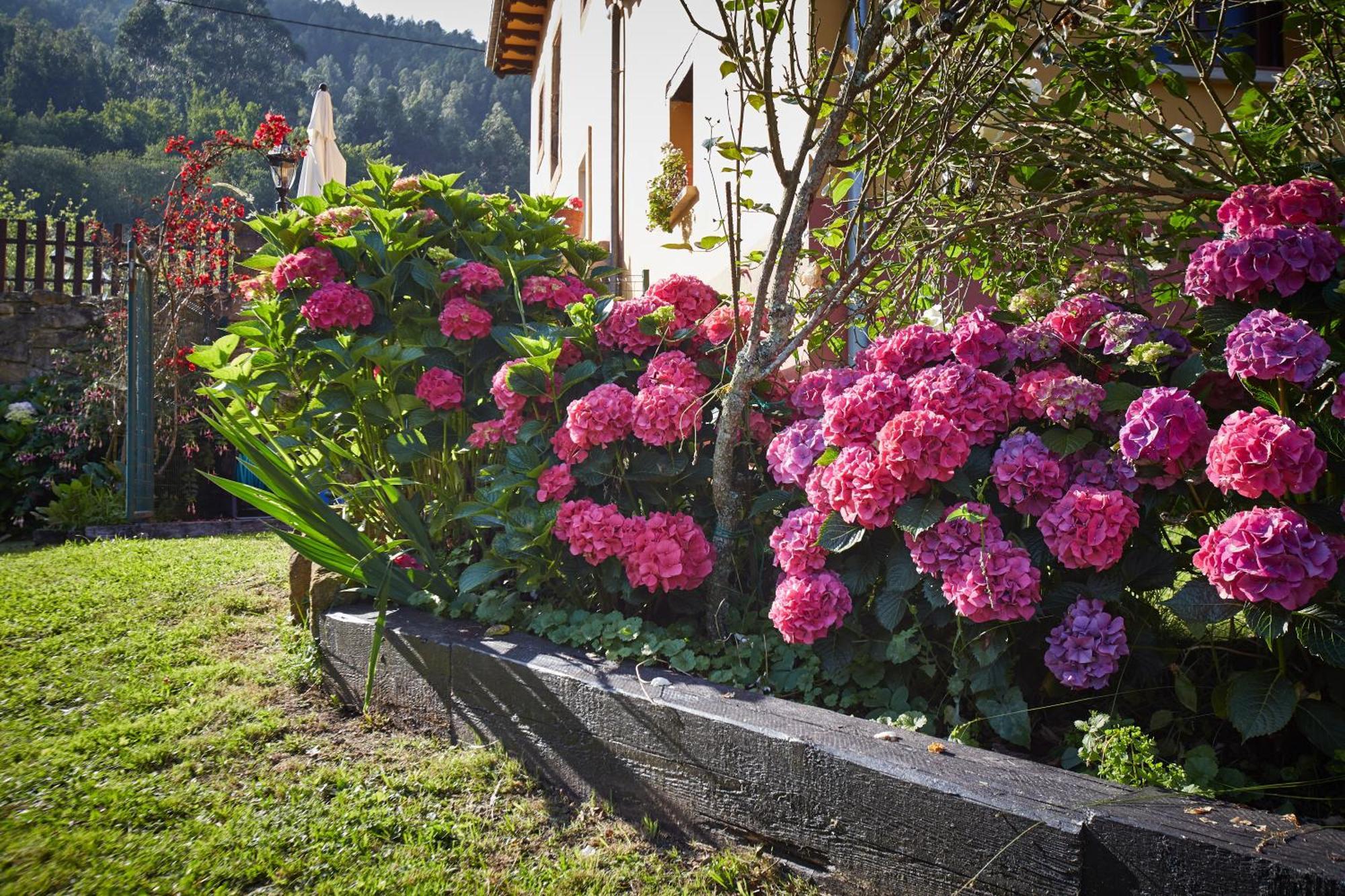 Casa Rural Casa Capion ビリャビシオサ エクステリア 写真